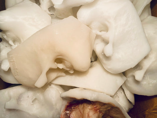 A large collection of 3D printed temporal bones.