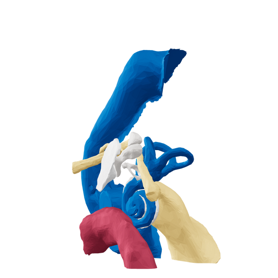 Zoom and spin to view 3D middle and inner ear anatomy.