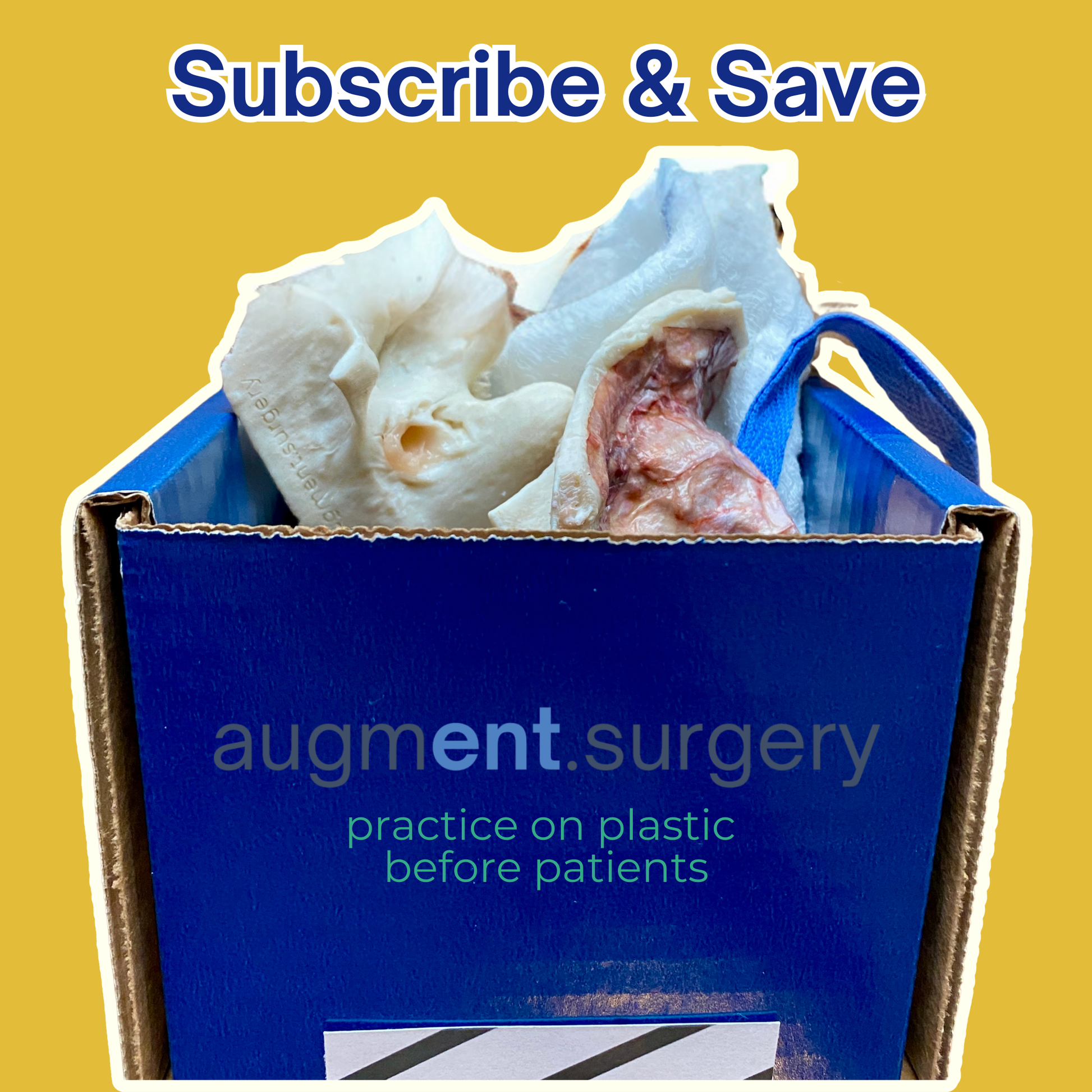 Augment Surgery's blue subscription box filled with 3D printed temporal bones for simulation-based medical education.