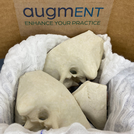 3D Temporal Bone Subscription Box (12-pack for programs)