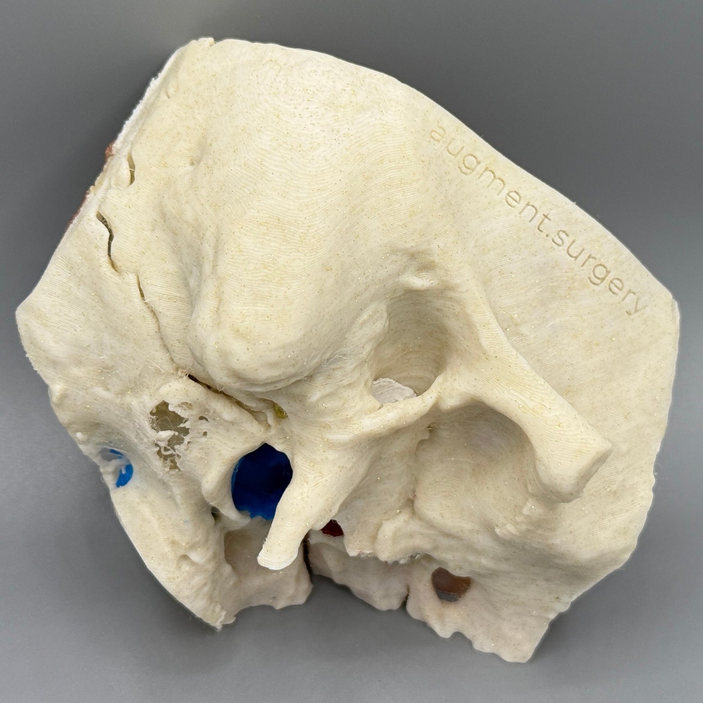 OpenEar 3D Temporal Bones